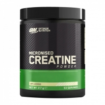 Optimum Nutrition Optimum Micronized Creatine 317 Gr