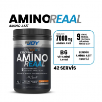 BigJoy Sports BigJoy Essential Amino Reaal 420 Gr