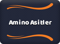 Amino Asitler