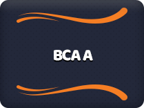 BCAA