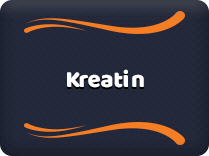 Kreatin